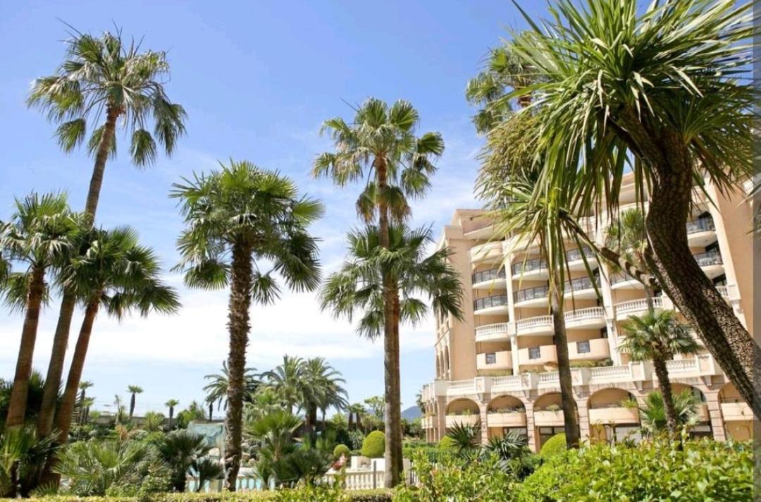 T2 Vue Panoramique D Cannes