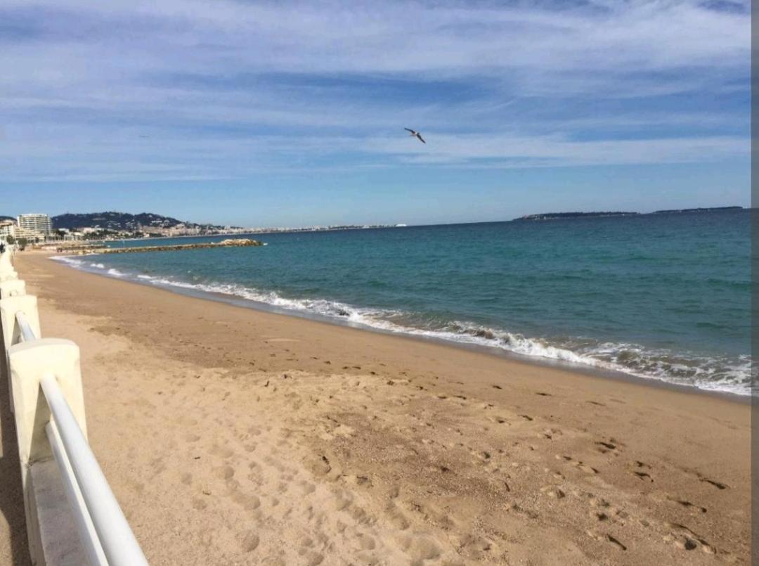 T2 Vue Panoramique D